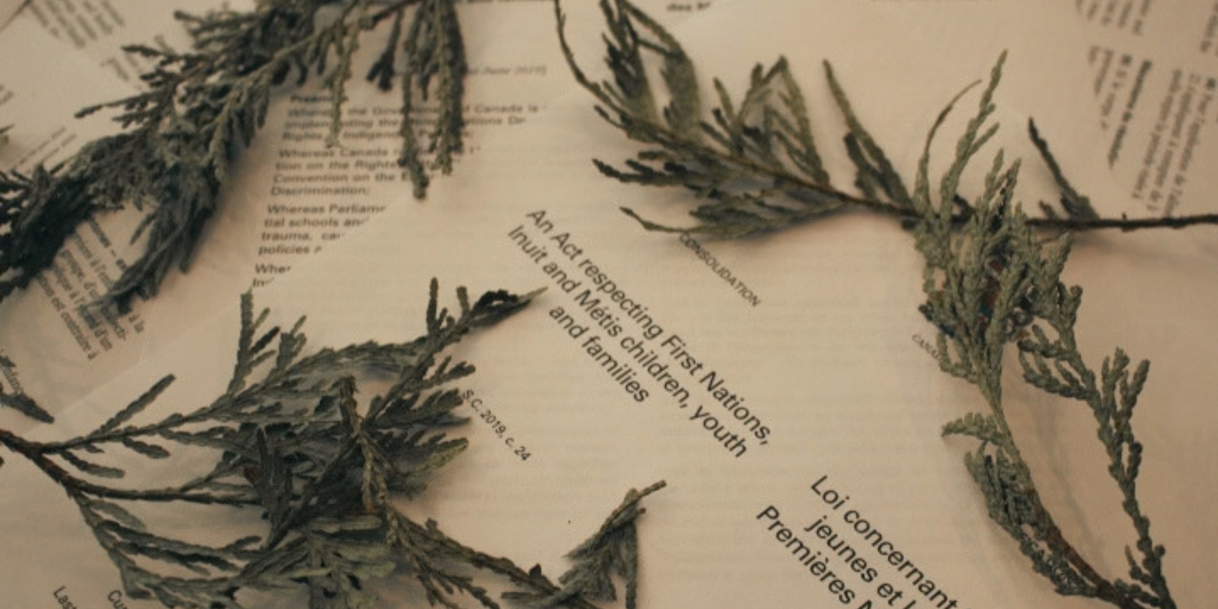 scattered pages of An Act Respecting First Nations, Inuit and Metis children youth and families surrounded by cedar boughs